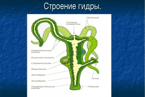 Кракен вход зеркало