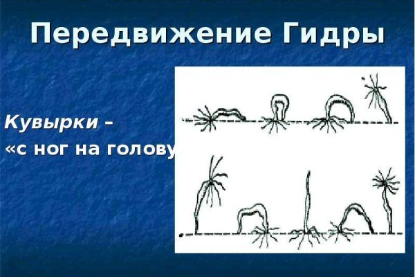 Kraken это гидра